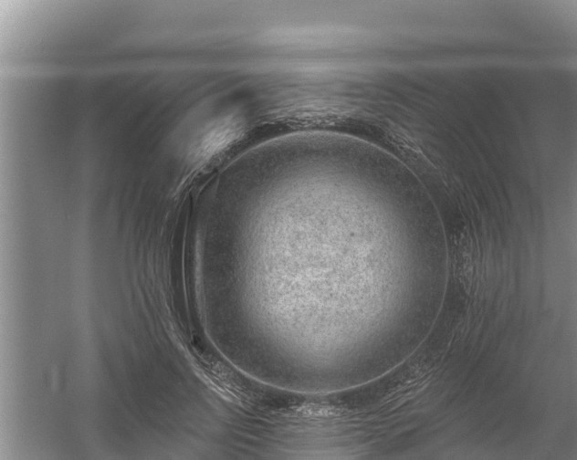 X0000058120742200509301926