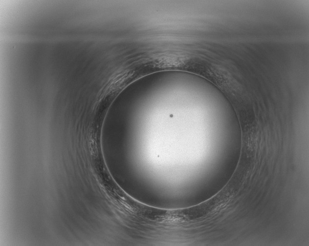 X0000058120743200509301926