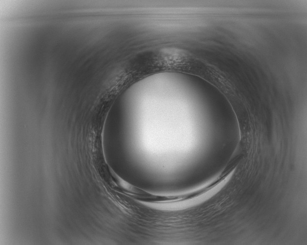 X0000058120750200509301926