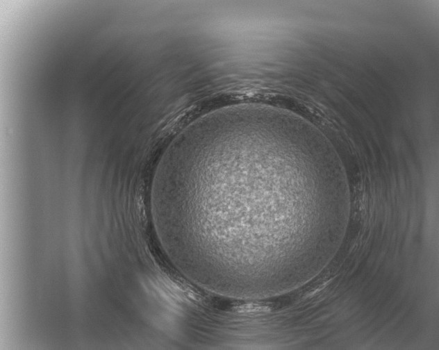 X0000058120754200509301926