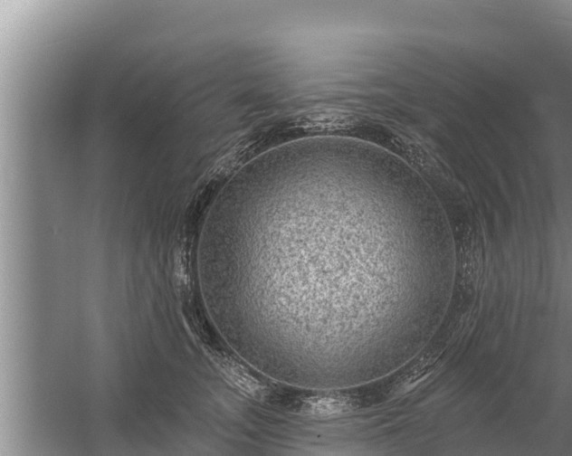 X0000058120755200509301926