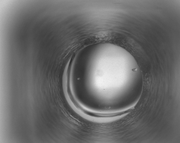 X0000058120756200509301926