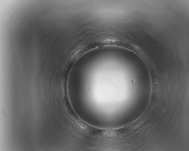 X0000058120762200509301926