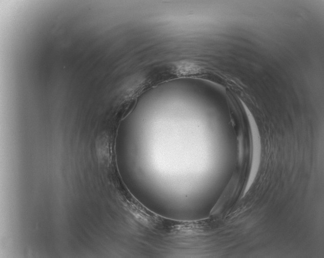 X0000058120763200509301926