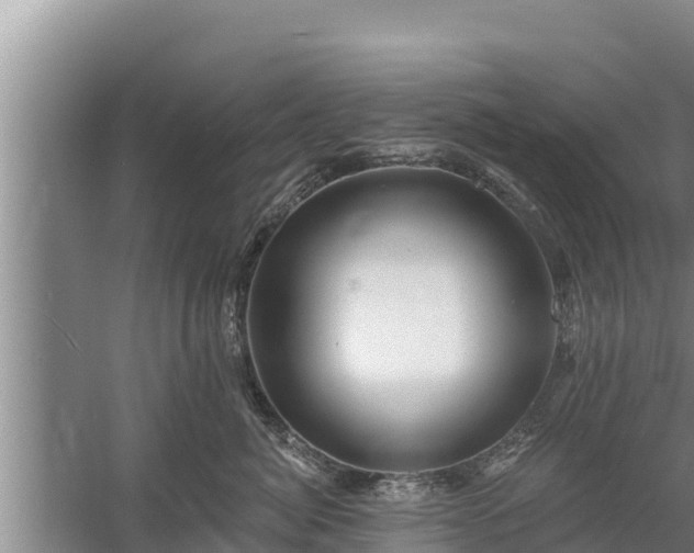 X0000058120764200509301926