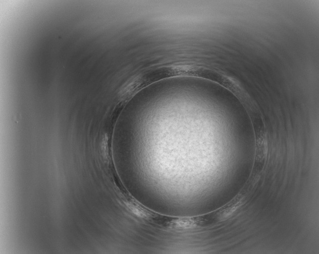 X0000058120765200509301926