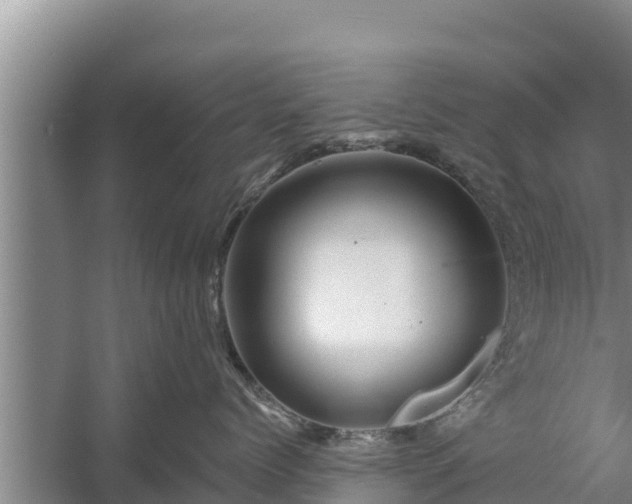 X0000058120768200509301926