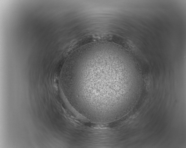 X0000058120770200509301926