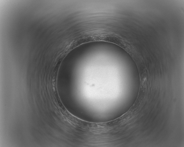 X0000058120772200509301926