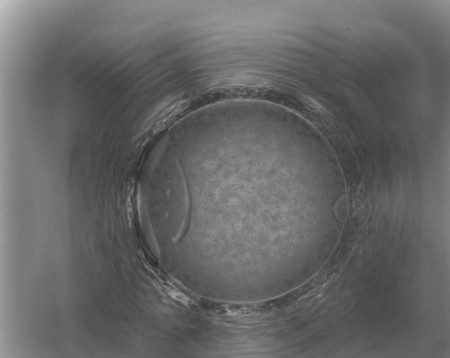 X0000058120774200509301926