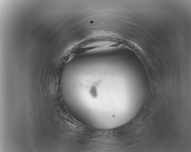 X0000058120775200509301926