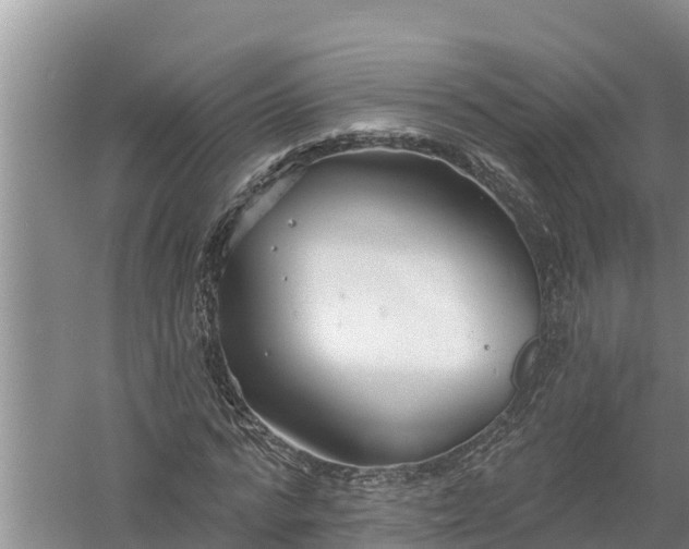 X0000058120776200509301926