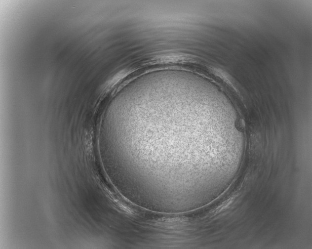 X0000058120778200509301926