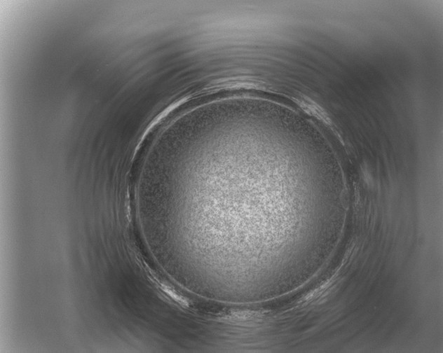 X0000058120782200509301925