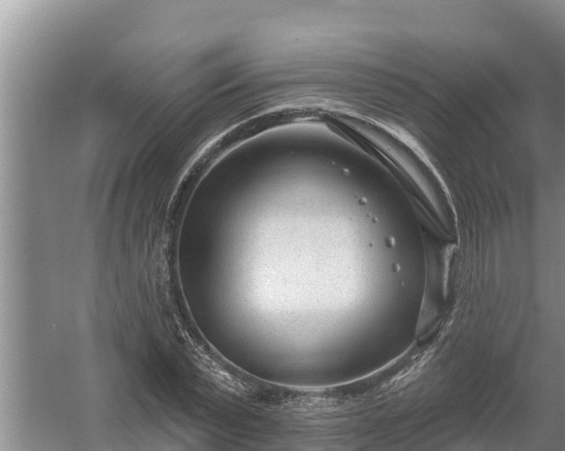 X0000058120783200509301925