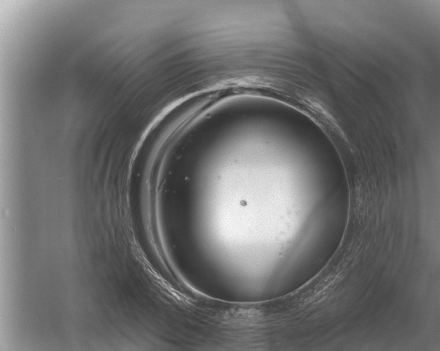 X0000058120784200509301925