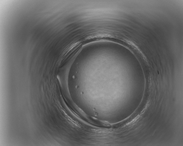 X0000058120785200509301925