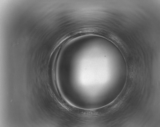 X0000058120786200509301925