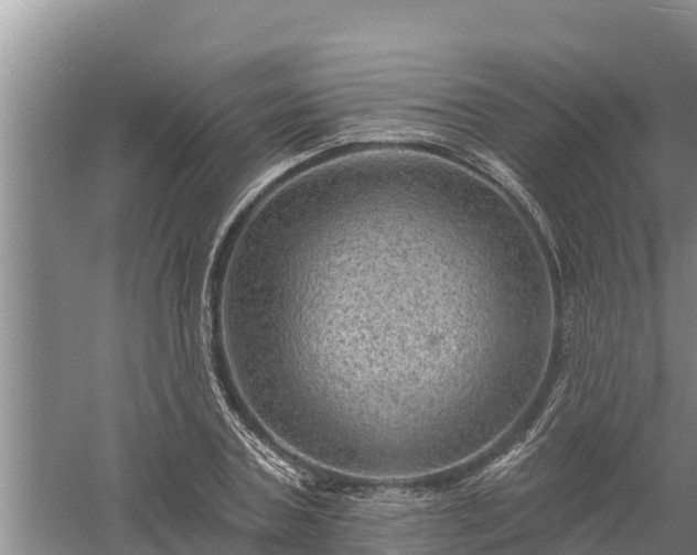 X0000058120787200509301925