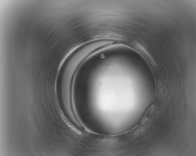 X0000058120788200509301925