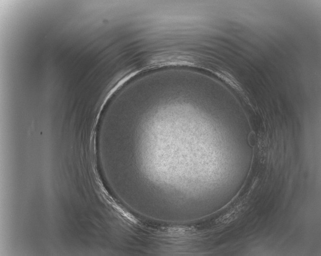 X0000058120790200509301925