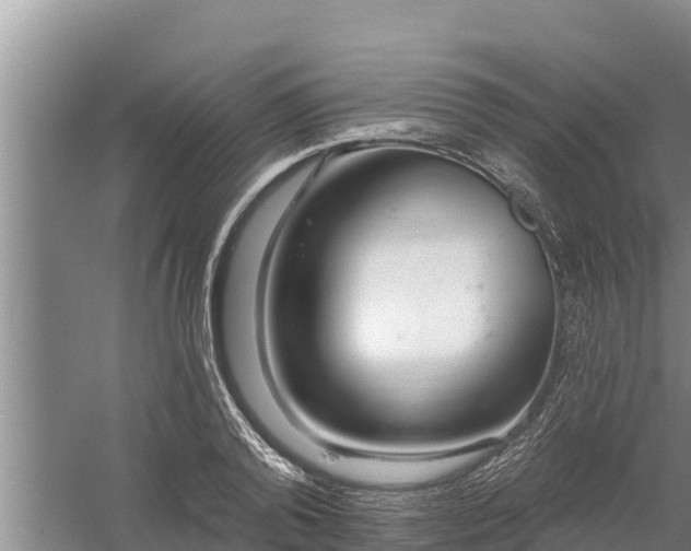 X0000058120792200509301925