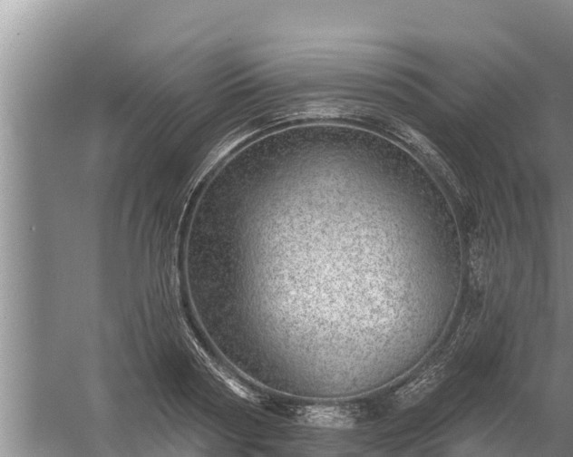 X0000058120794200509301925