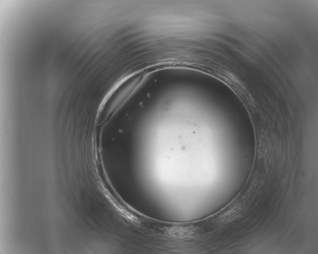 X0000058120796200509301925