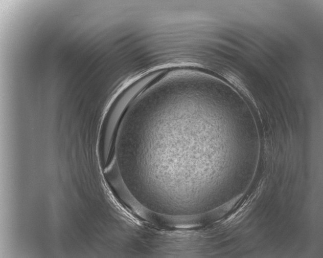 X0000058120797200509301925