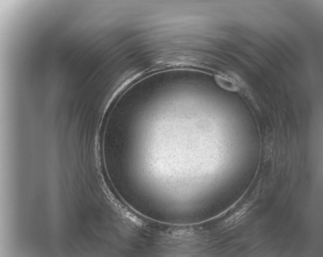 X0000058120798200509301925