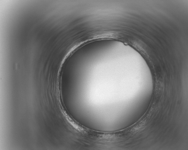 X0000058120800200509301925