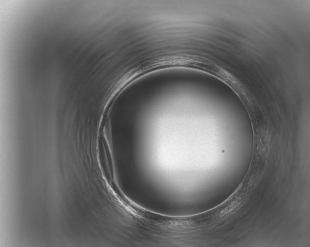 X0000058120802200509301925