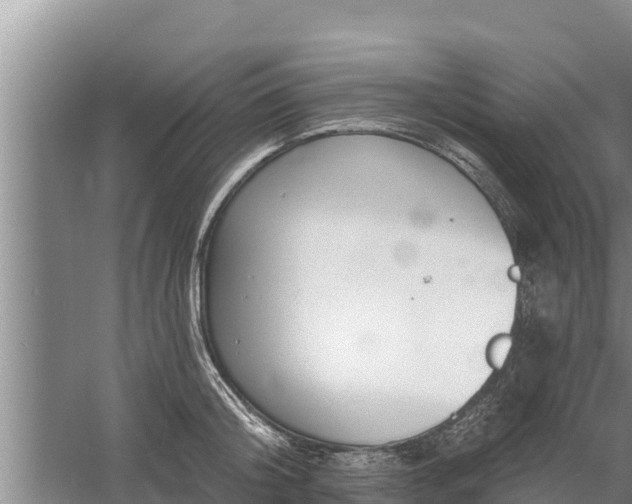 X0000058120804200509301925