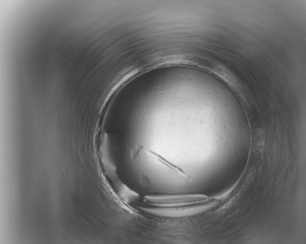 X0000058120806200509301925