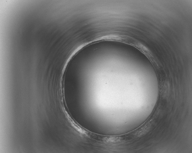 X0000058120808200509301925