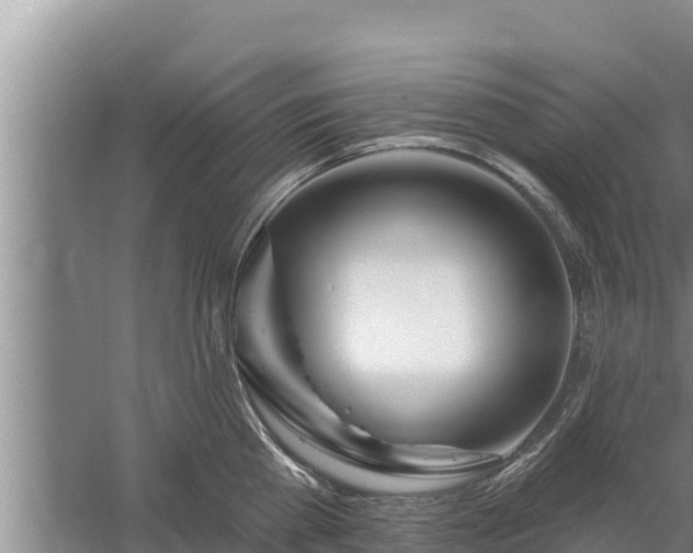 X0000058120809200509301925