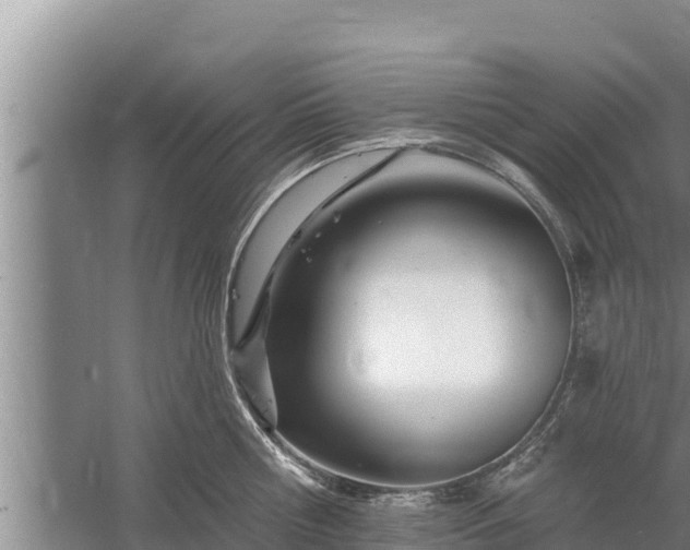 X0000058120810200509301925