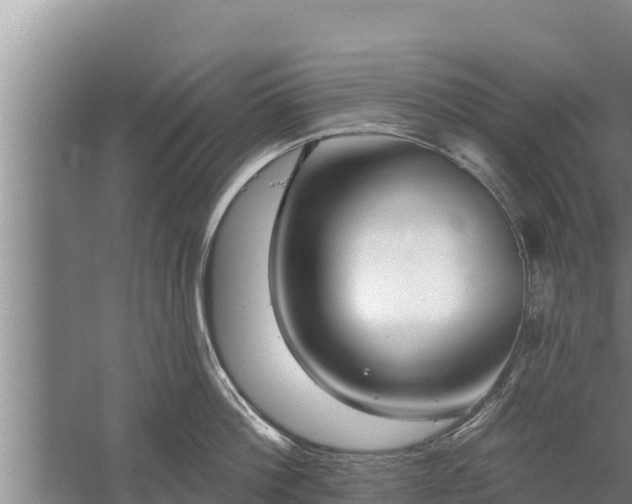 X0000058120812200509301925