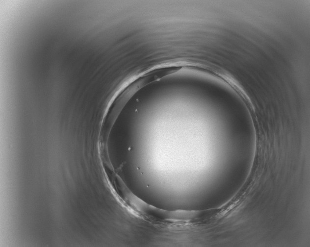 X0000058120813200509301925