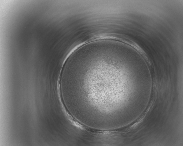 X0000058120814200509301925