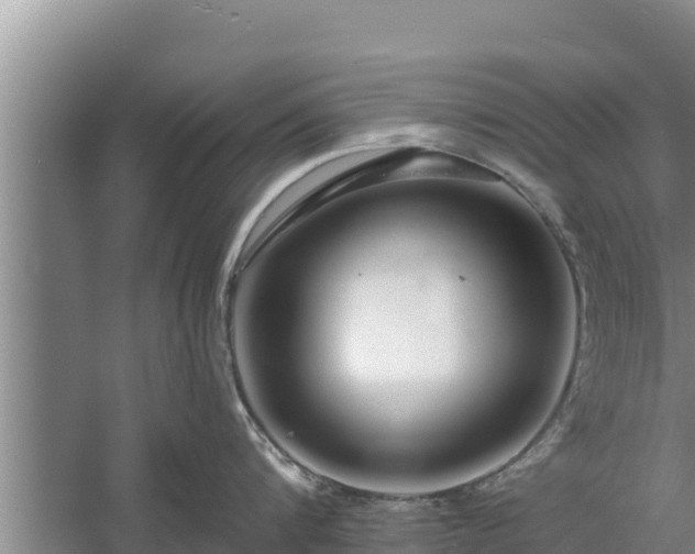 X0000058120816200509301925