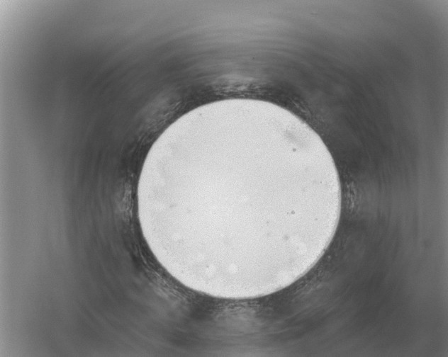 X0000058120820200509301924