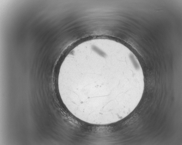 X0000058120832200509301924