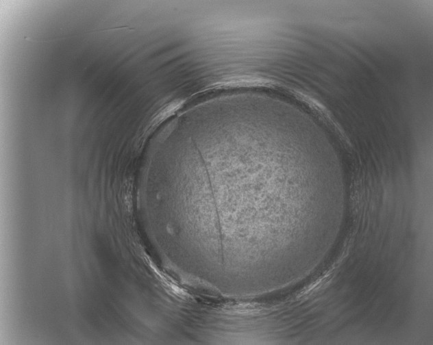 X0000058120833200509301924