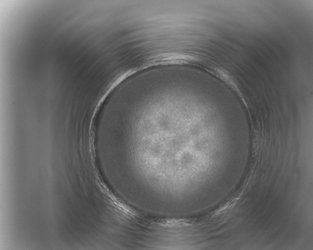 X0000058120835200509301924