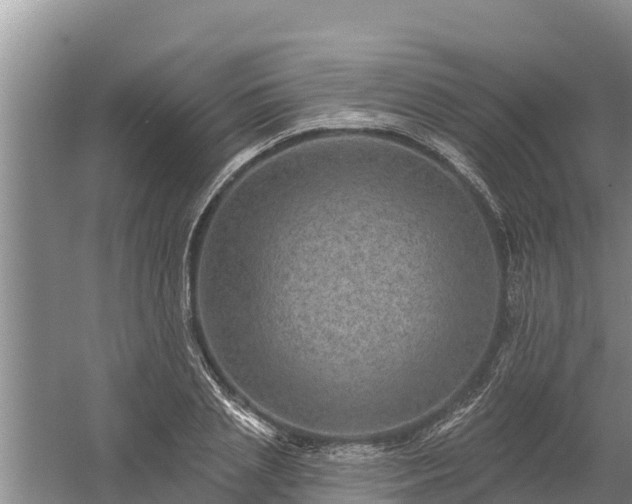 X0000058120837200509301924