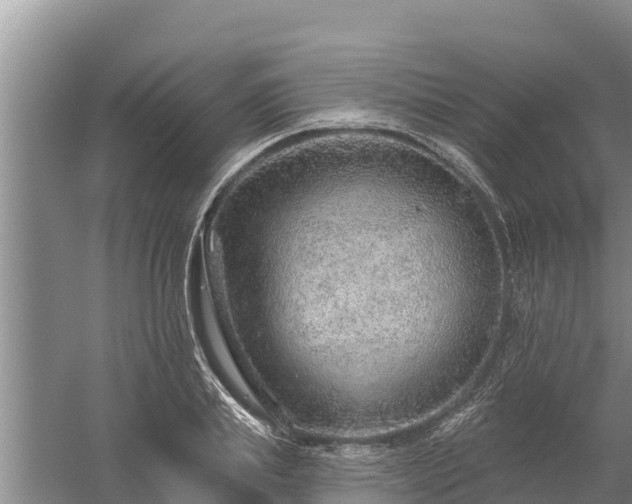 X0000058120839200509301924