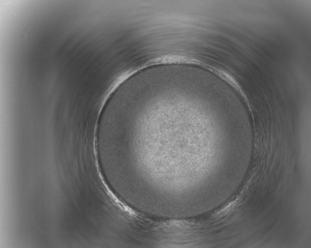 X0000058120847200509301925