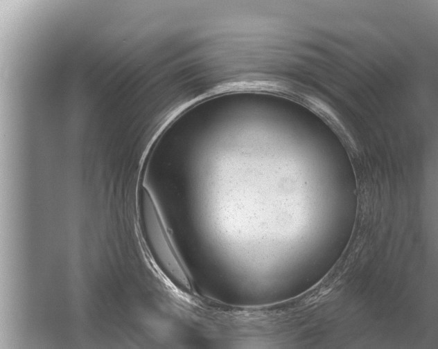 X0000058120852200509301925