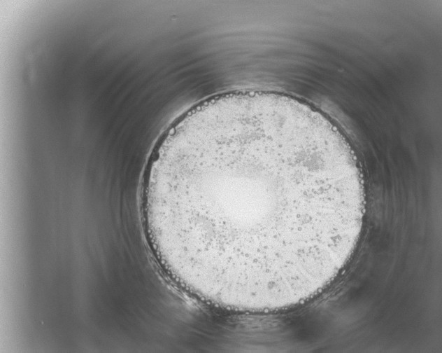 X0000058120856200509301925